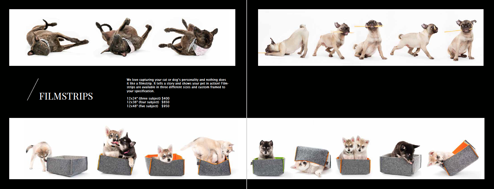 Screen Shot 2019-11-07 at 5.30.58 PM.png