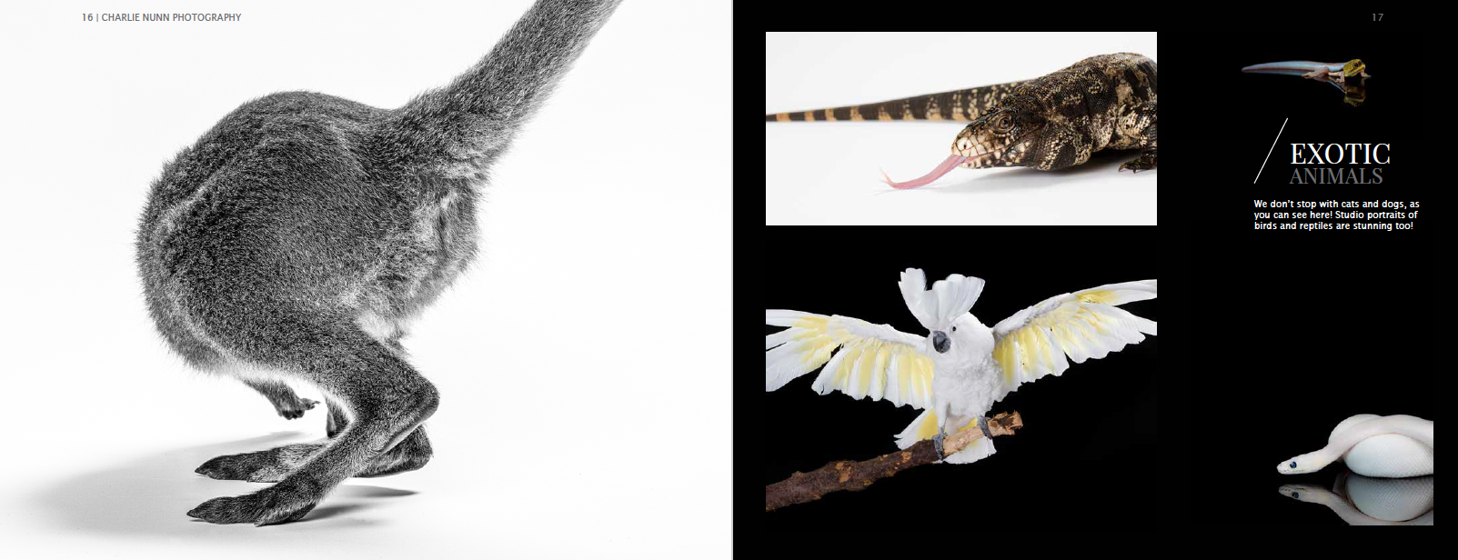 Screen Shot 2019-11-07 at 5.30.44 PM.png