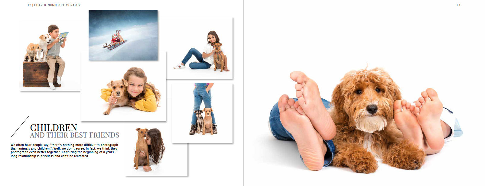 Screen Shot 2019-11-07 at 5.30.26 PM.png