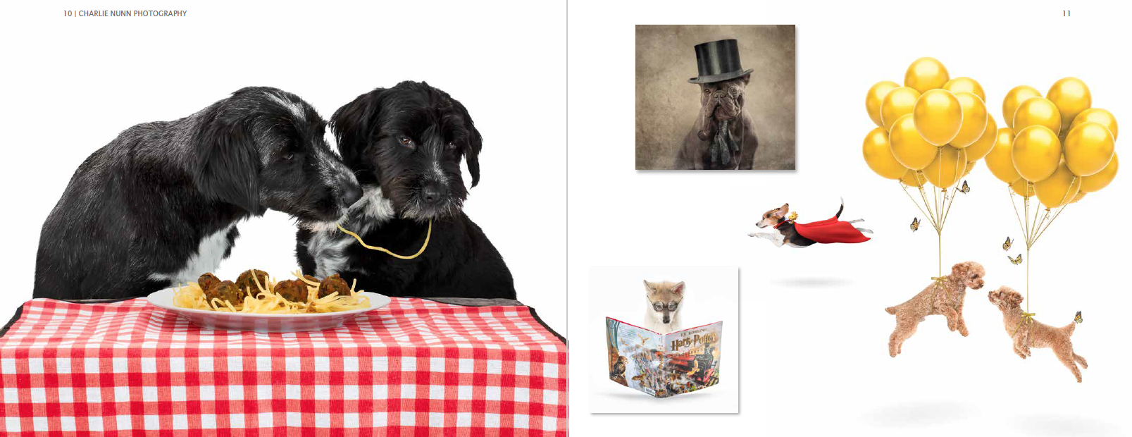 Screen Shot 2019-11-07 at 5.30.18 PM.png