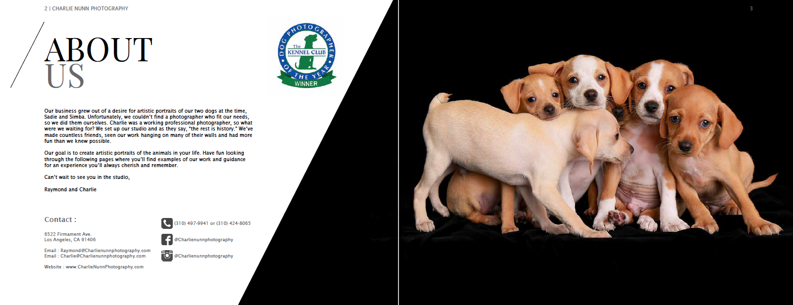 Screen Shot 2019-11-07 at 5.29.45 PM.png