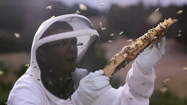 Intel // Bees with Backpacks (:30)