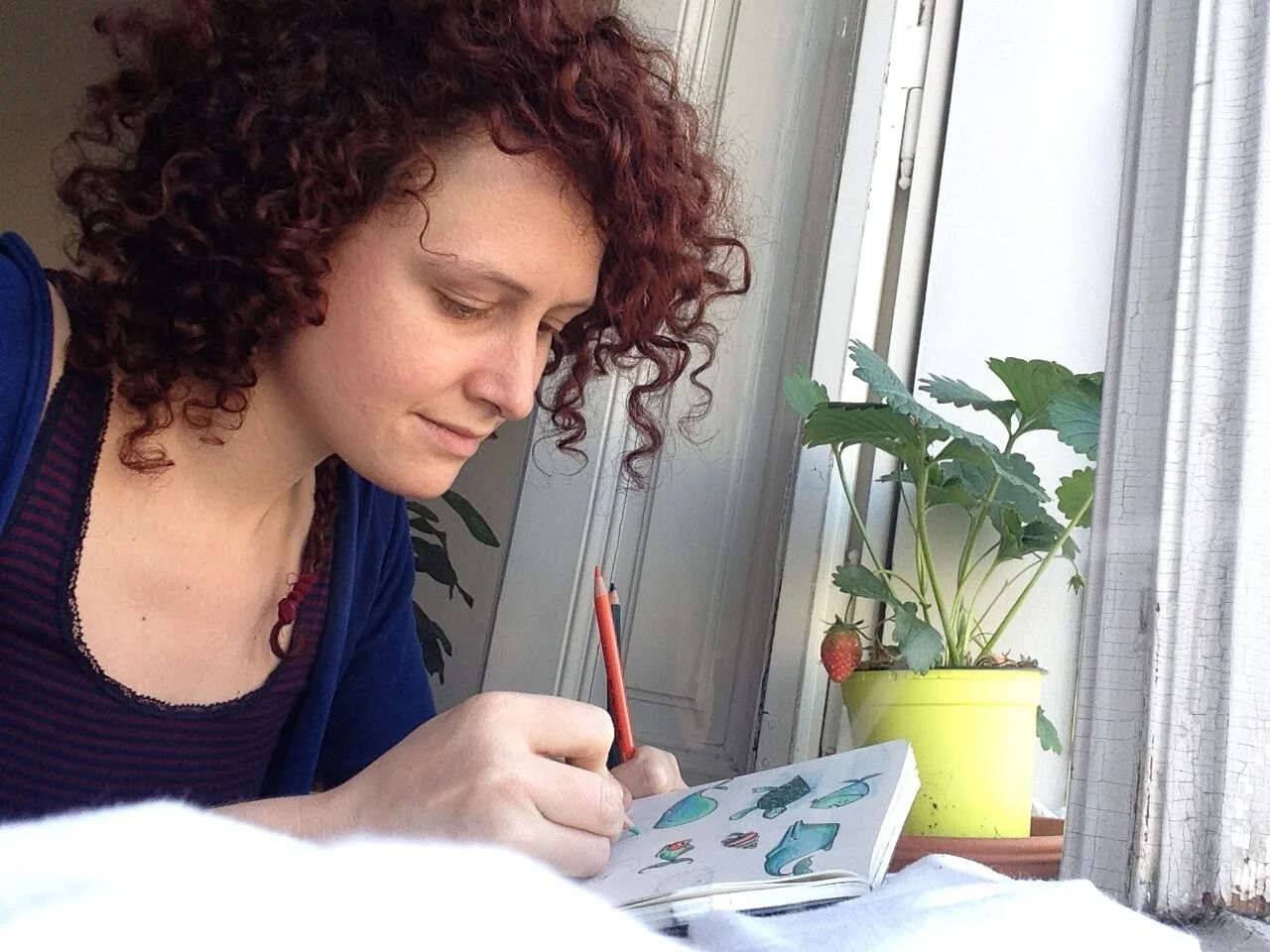 Illustrating Sprig the Rescue Pig