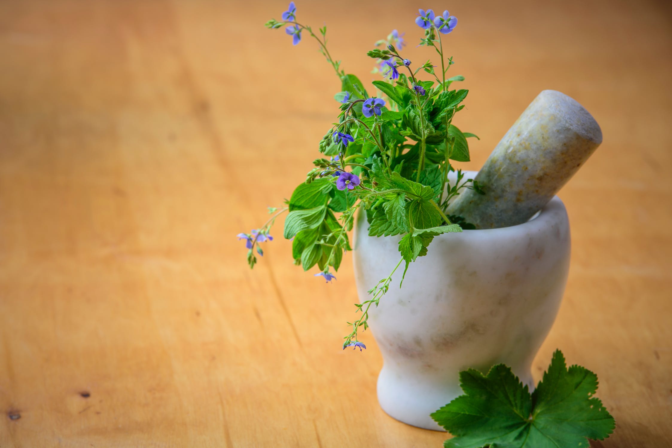 Mint injects a sweet, cool flavor into ordinary pesto pasta. Spoon into thin spaghetti and you have a meal that’s memorable. You can also use this sauce to add zest to a sandwich or plate of vegetables.