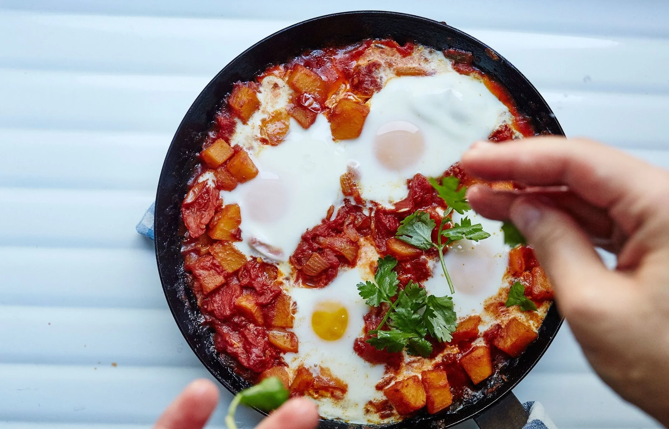Shaksuka is a one-meal dish so versatile you can eat it for breakfast, lunch, or dinner. Photo by Alex Lau from Bon Appétit
