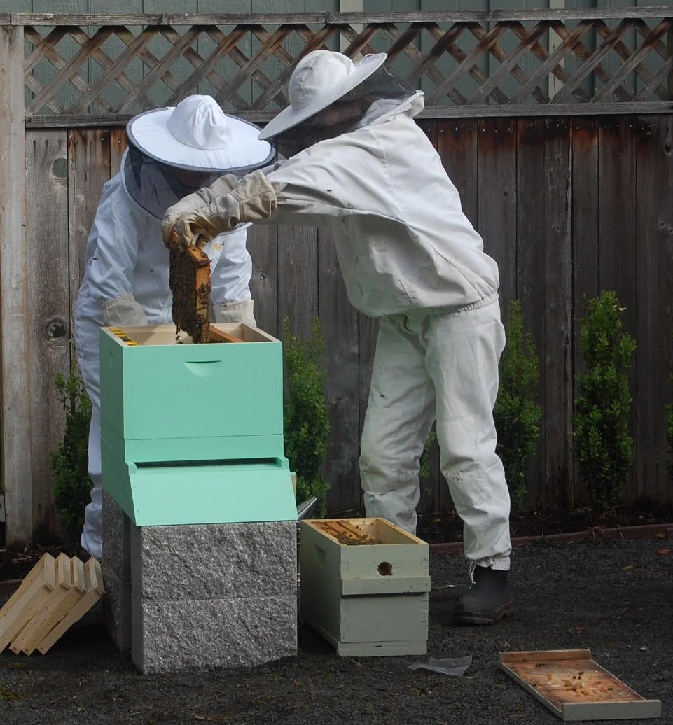 The day Alison installed bees in her first hive.