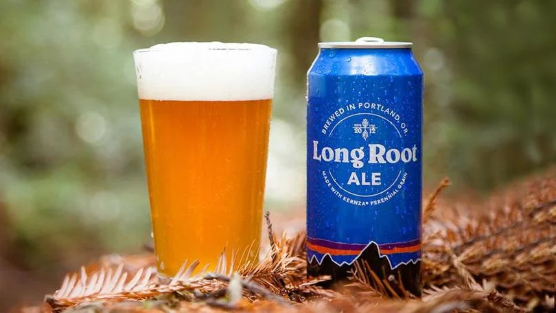 The Long Root Ale from Patagonia is a hearty pale ale brewed with organic two-row barley, organic yeast, organic Chinook, Mosaic and Crystal hops, and Kernza. Photo from Patagonia Provisions.
