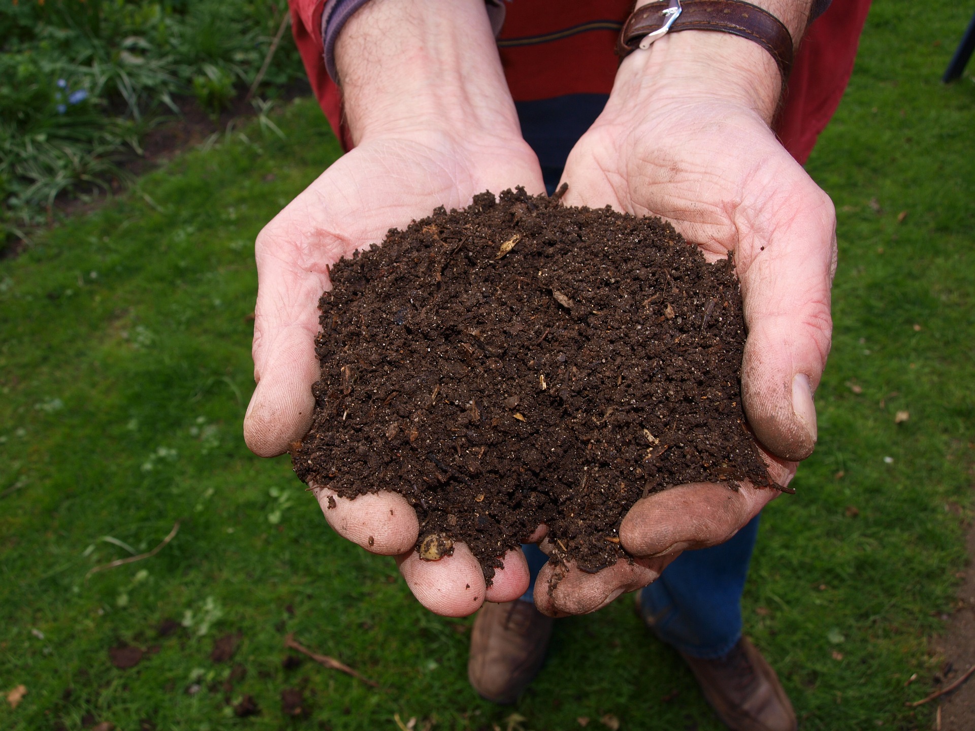 Image of Pile of compost dirt
