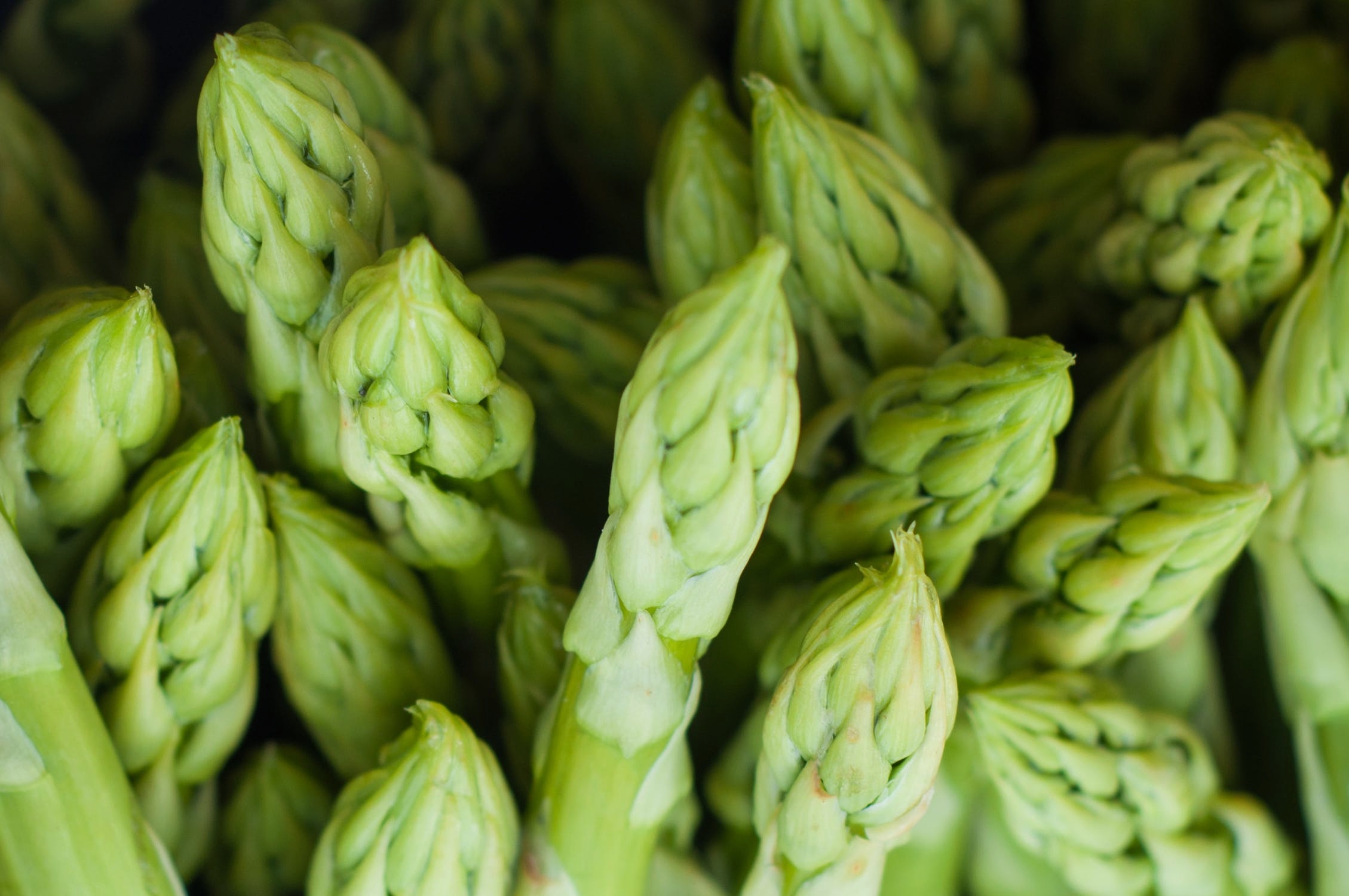 Asparagus