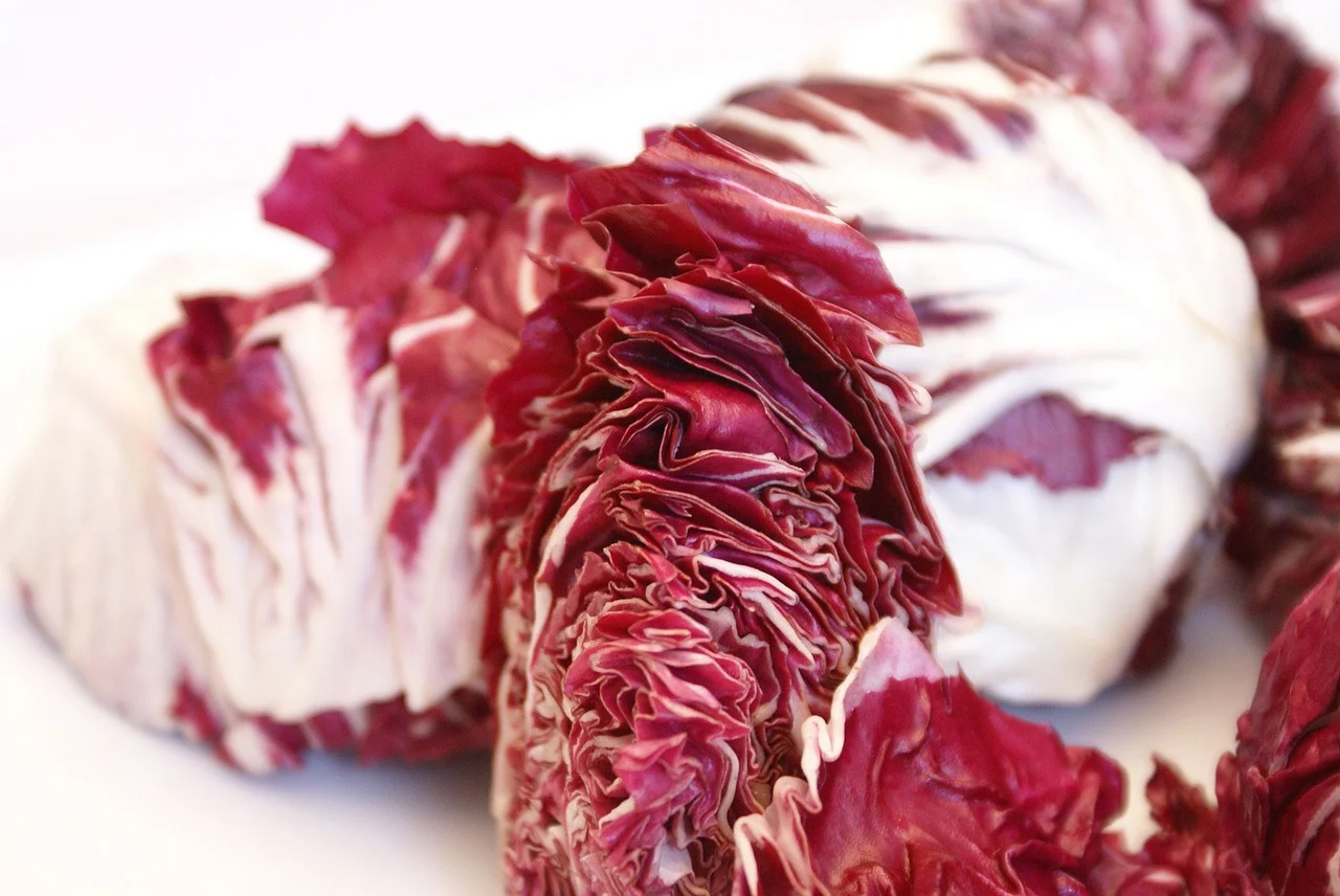 radicchio-74315_1280.jpg