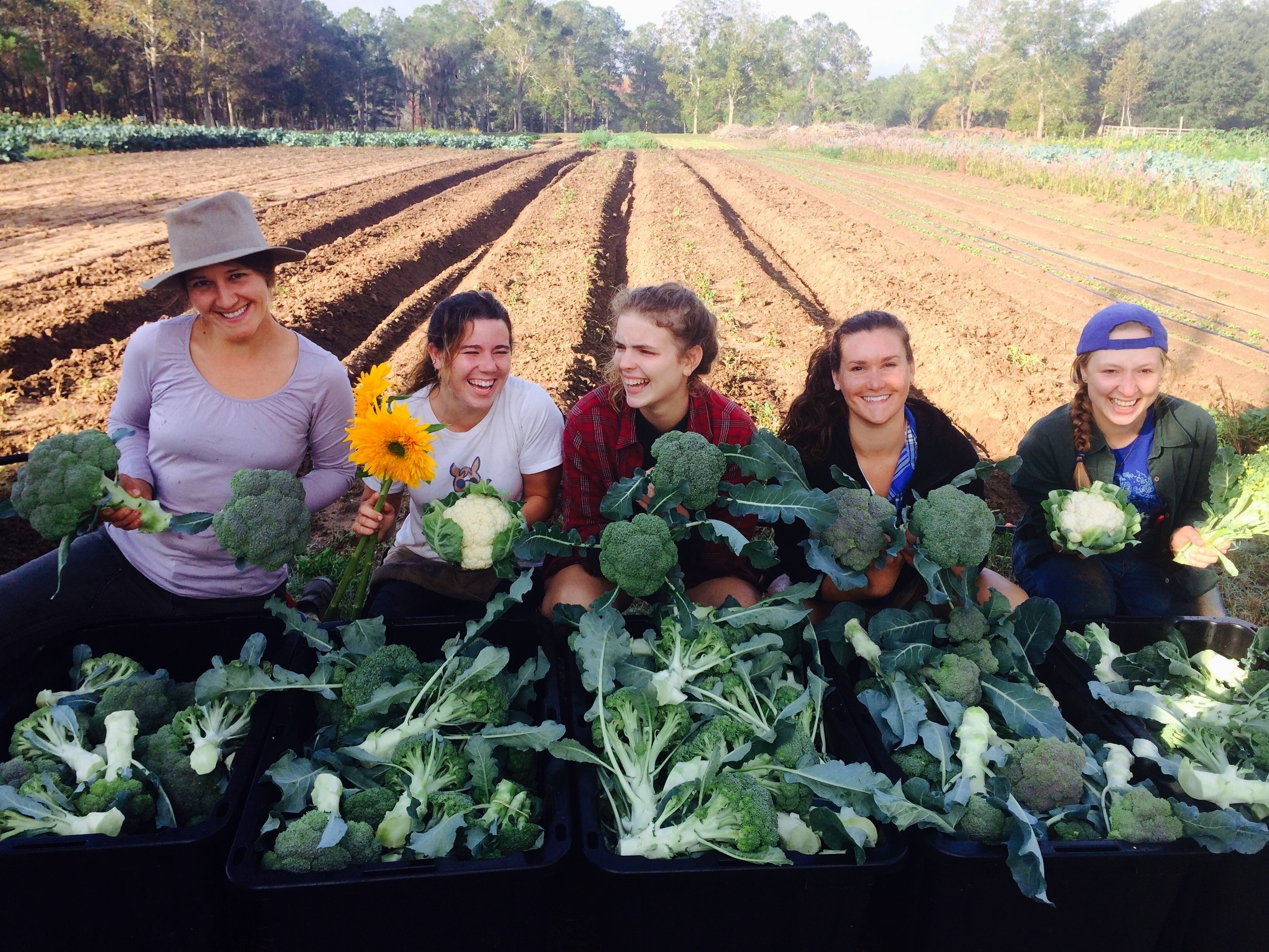  Emily (middle) and the rest of the harvest team prepping broccoli for the farmers market. 