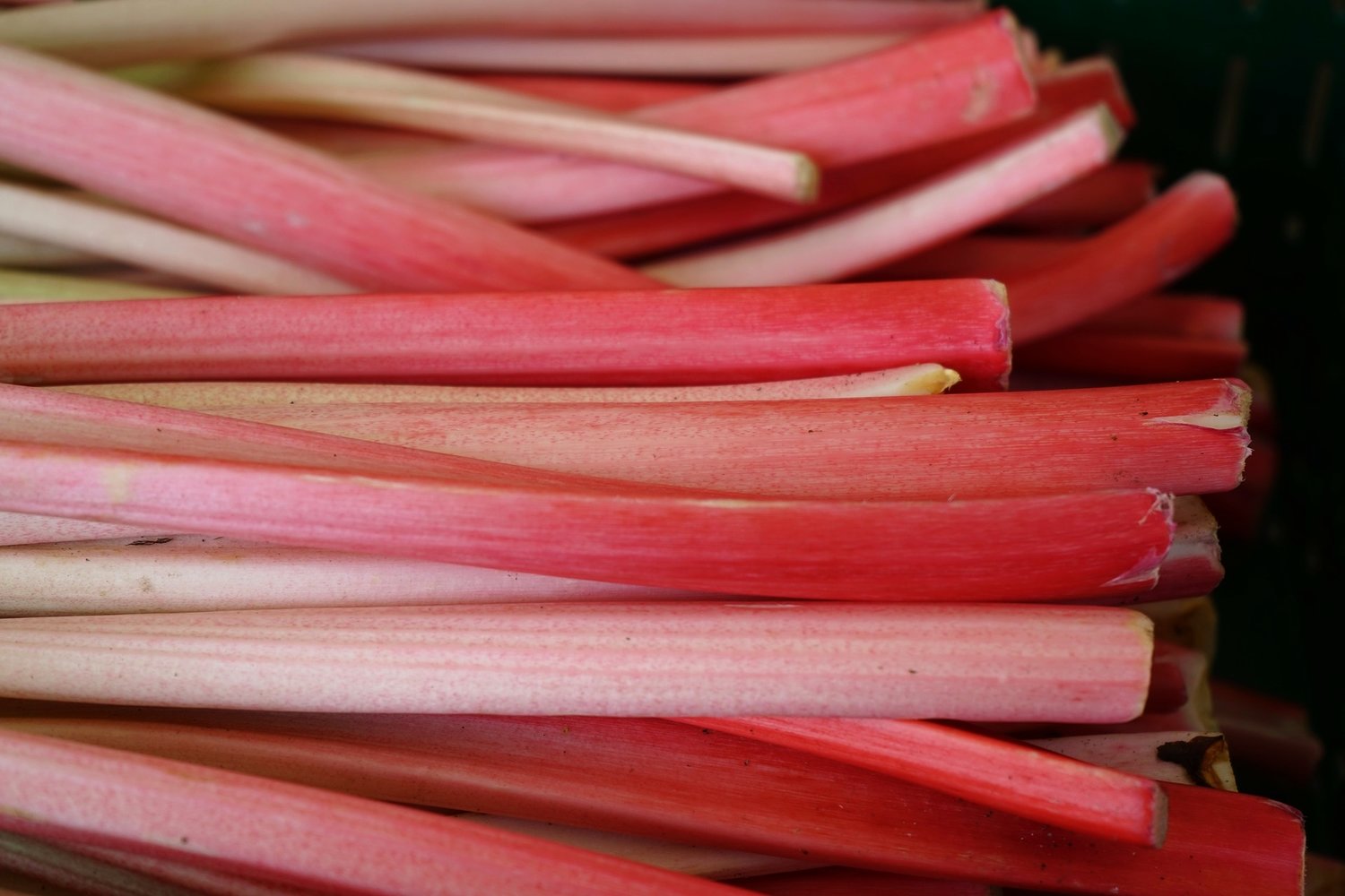 Rhubarb Buckle 