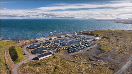 Arctic char farms use tank systems such as these to raise healthy, sustainable fish as an alternative to farmed Atlantic salmon or overfished species. Photo from Samherji Farms