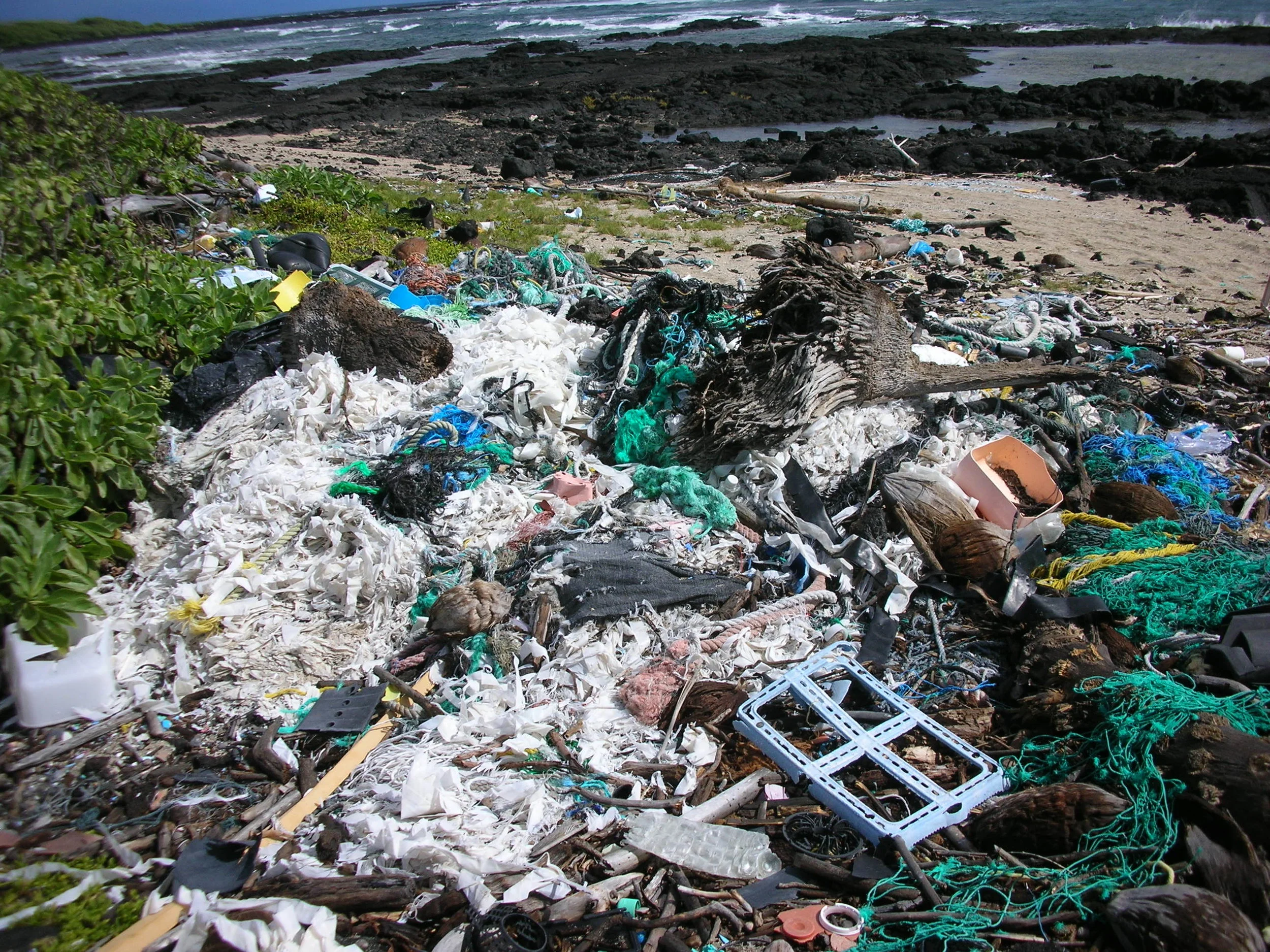 Tips for taking out our plastic trash when recycling isn't enough 