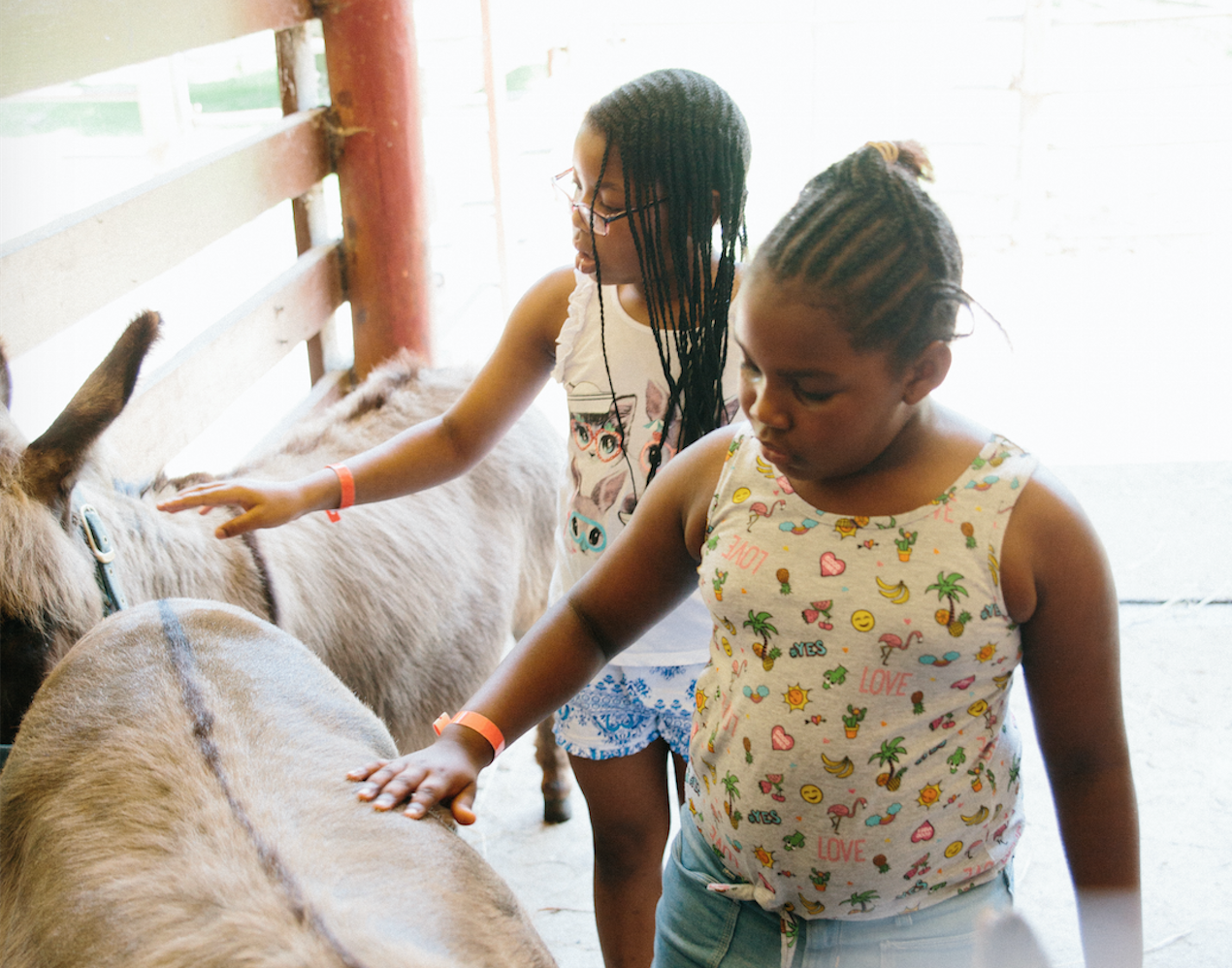The Fresh Air Fund is using its model farm, garden, and nutrition center to teach campers about where their food comes from and why organic, locally grown ingredients offer nutritious alternatives to fast food. At its farm, children get to interact with goats and pigs, see where the chickens lay their eggs, and even milk Shirley the cow. “That stuff?” asks one of the eight-year-old campers, giving the milk a side-eye when told it’s the same as what they pour onto their morning cereal. But all the kids agree that getting food directly from the animals living alongside them is “really cool,” and watching the hens lay eggs makes their eyes grow wide even as they hold their noses against the barn’s pungent smell. Photo credit: Alden Terry