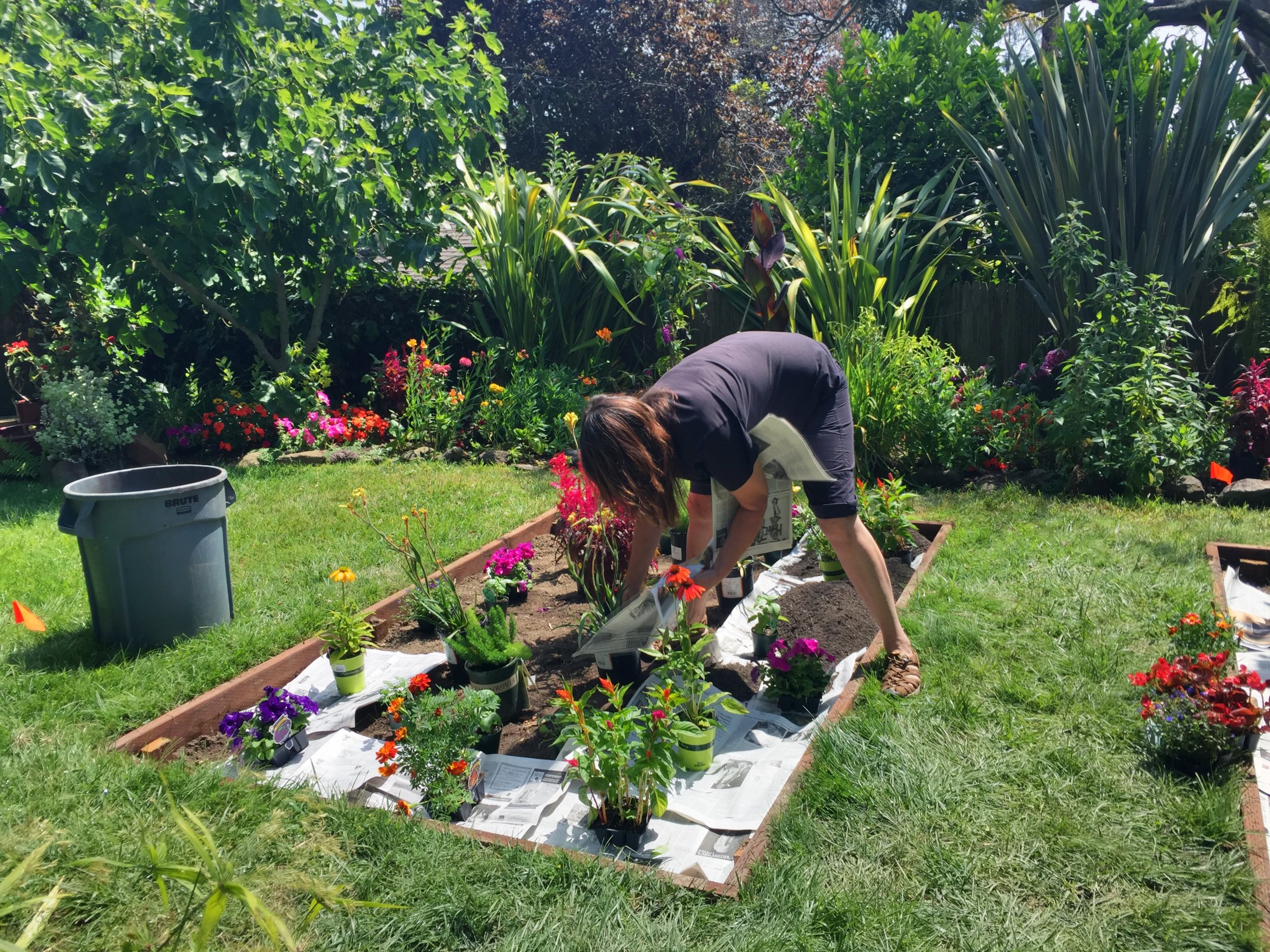 After laying out the plants, I slipped in some newspaper to smother any remaining weeds or weed seeds. Then I filled the beds with a foot of great soil enriched with enough compost to give my plants a healthy start.