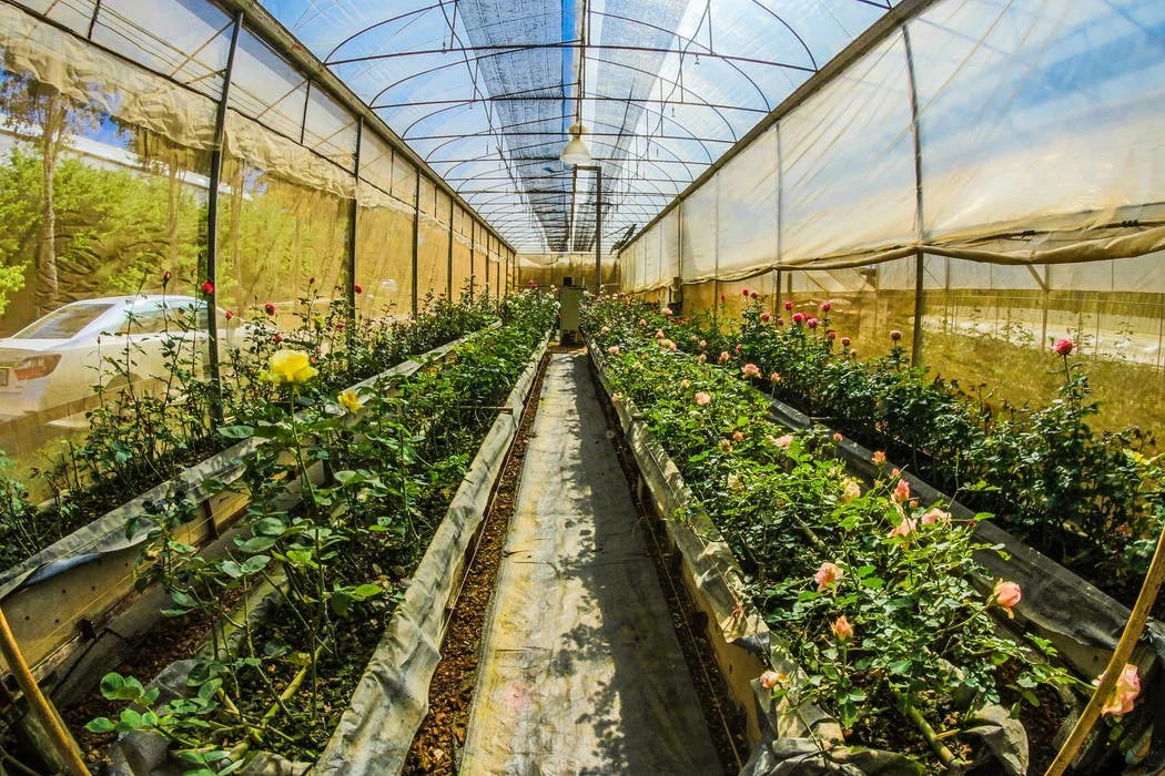 One of the best ways to fight a pest infestation is to keep a close watch on your plants, and study pest patterns.