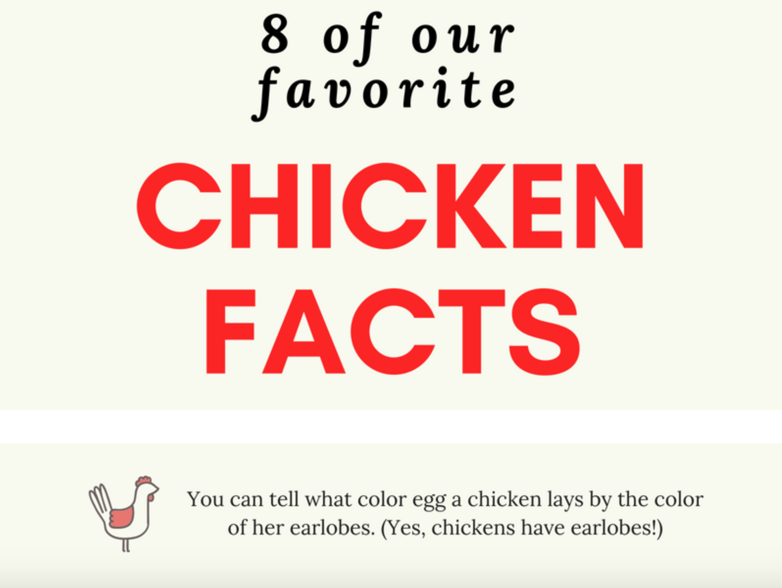 Gwen is entertaining and educational. It comes with a bonus section on fun facts about chickens.