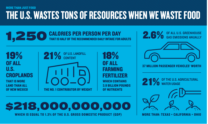 About 40 percent of the food we grow is never eaten. That means the resources that go into producing all that food is wasted, too. Infographic source: NRDC