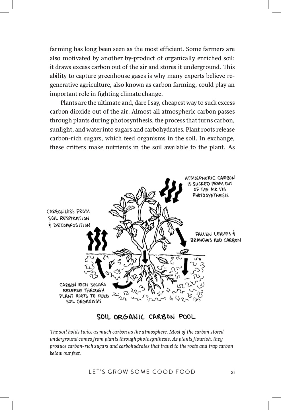 Growing Perennial Foods Preview 8.jpg