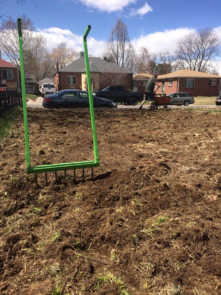 The barely there beginnings of The Veg Yard, Spring 2018. Photo source