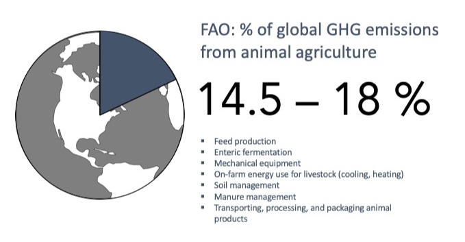 The Food and Agriculture Organization (FAO) of the United Nation has estimated that animal agriculture contributes between 14.5% and 18% of global GHG emissions. The FAO includes GHG emissions from feed production; enteric fermentation; on-farm mechanical equipment and energy use for livestock; soil and manure management; and transporting, processing, and packaging animal products.