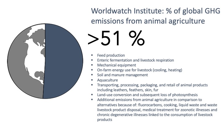 In its 2009 report, the Worldwatch Institute estimated that animal agriculture contributes over 51% of global GHG emissions. It accounted for emissions from livestock respiration; the photosynthesis that is foregone by converting land for grazing; fluorocarbons for cooling animal products; cooking meat; disposal of waste livestock products (bone, fat, etc.) and livestock liquid waste; the production, distribution, and disposal of livestock products and animal byproducts (like leather, feathers, skin, and fur) and their packaging; and carbon-intensive medical treatment for zoonotic illnesses and chronic degenerative illnesses linked to the consumption of livestock products. Finally, the Worldwatch Institute uses more updated (and therefore greater) estimates in its calculations for values like methane’s global warming potential (GWP) and the tonnage of livestock produced worldwide.