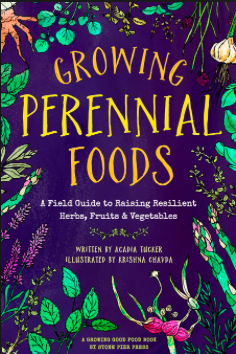 This recipe is excerpted from Growing Perennial Foods: A field guide to raising resilient herbs, fruits & vegetables , by Acadia Tucker. It includes tips on gardening in a way that mitigates climate change, 34 perennial profiles, and a recipe for each one.