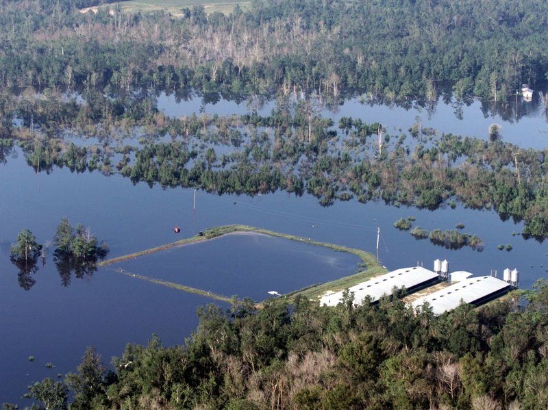 A flooded manure lagoon from a hog farm in North Carolina suggests one reason agriculture is a leading cause of pollution in this country. Nonetheless, the federal government does not reliably track factory farms. A new mapping technology makes it easier to locate factory farms, and establish accountability Photo source
