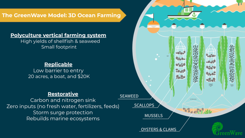GreenWave teaches new seaweed growers how to farm sustainably by practicing vertical ocean farming. (photo from GreenWave )
