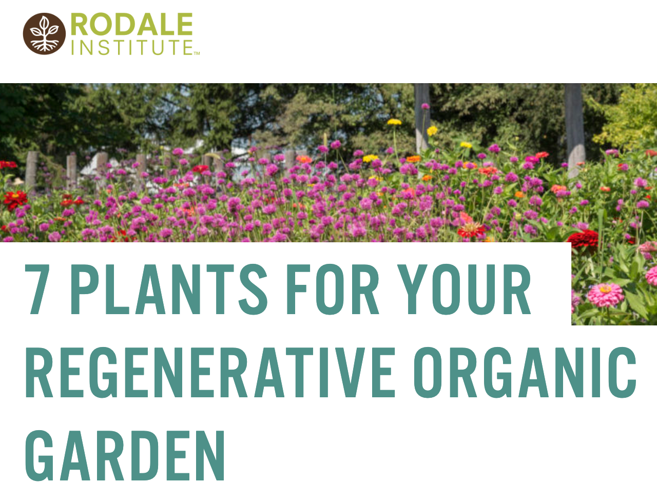 7 plants for your regenerative organic garden , Rodale Institute