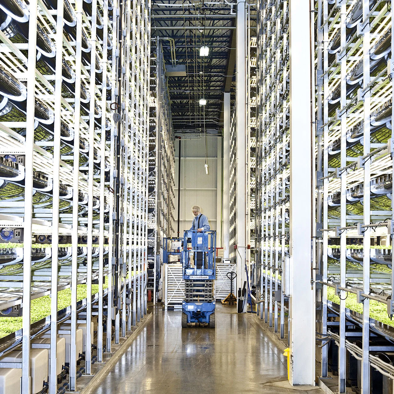 Vertical farms don’t use sun or soil, all the while conserving water and land use. Photo from Bryan Anselm for the Wall Street Journal .