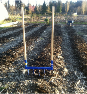 Replace your rototiller with a broad fork which gently aerates the soil for planting without disturbing the vast community of soil organisms you want to nurture.