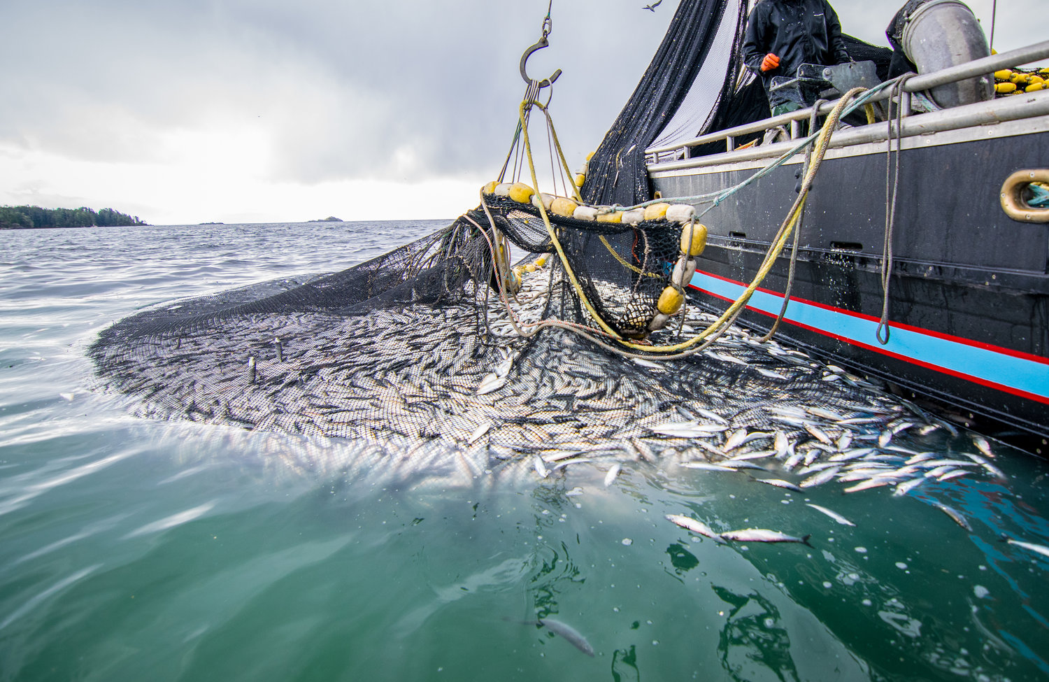 sustainable fishing — Solutions-oriented food stories — Stone Pier Press