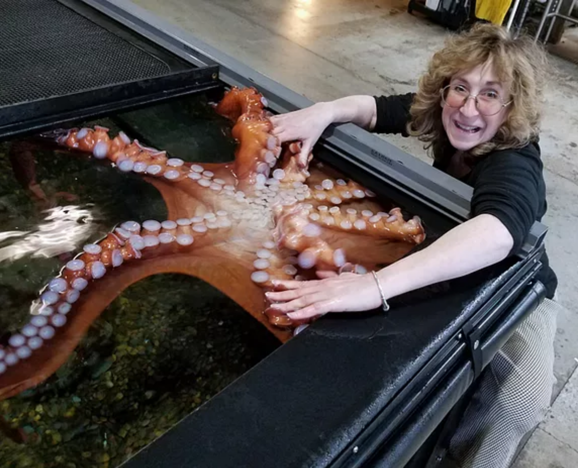 Rethinking our relationship to animals