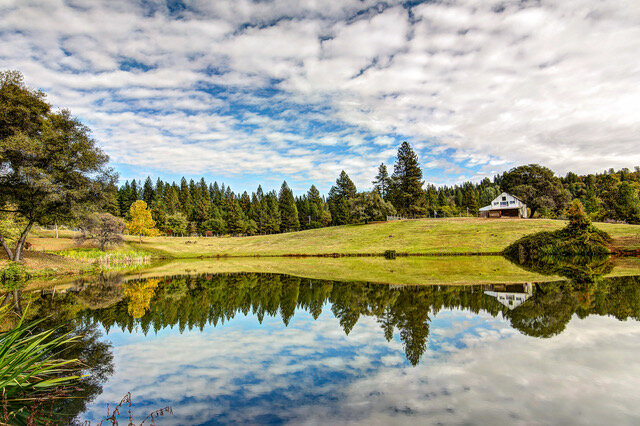 A place that grants farm animals their dignity