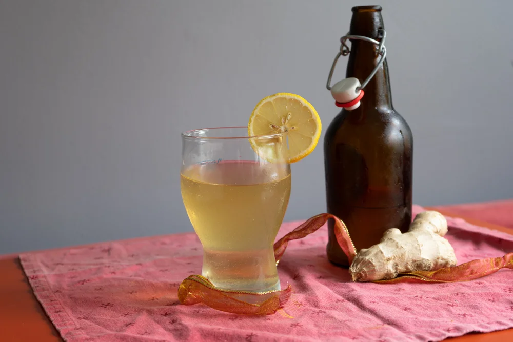 Easy Homemade Ginger Beer Recipe 2023 AtOnce