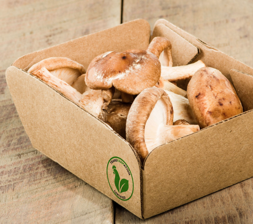 Watts is converting his poultry farm into a mushroom farm with the help of a mushroom expert. (Photo Source :  Transfarmation )