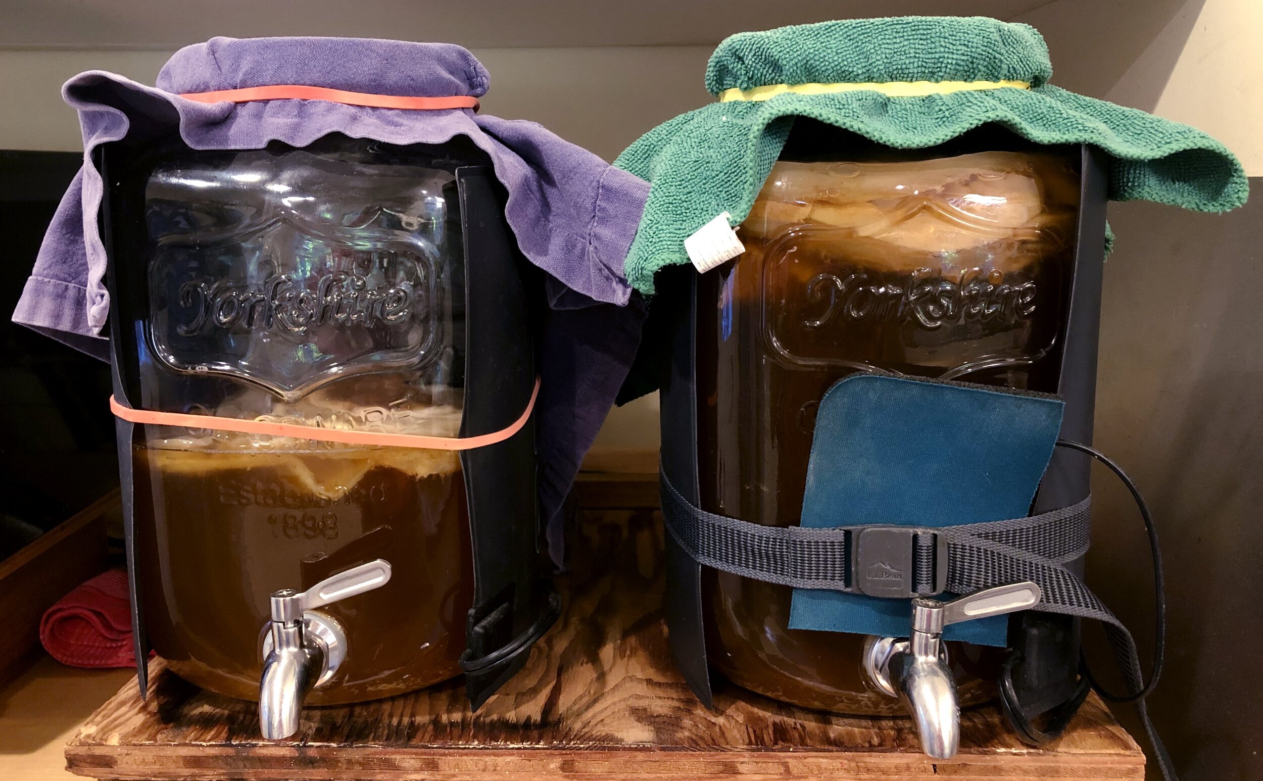 Brewing kombucha at home