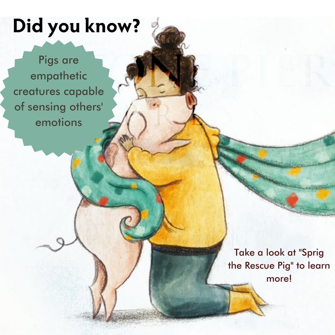 Read &quot;Sprig the Rescue Pig&quot; to learn more fun facts about pigs. Available at http://stonepierpress.org.