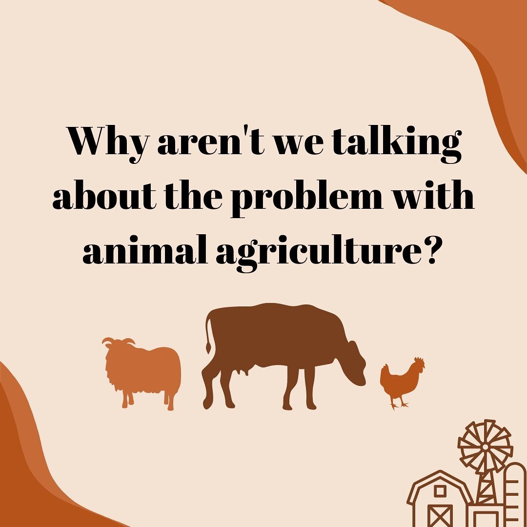 Raising livestock constitutes a significant source of greenhouse gas emissions, but its connection to climate change is rarely reported on. Learn why at https://stonepierpress.org/goodfoodnews?author=64e7a20ff0fcba1ef79e23c1