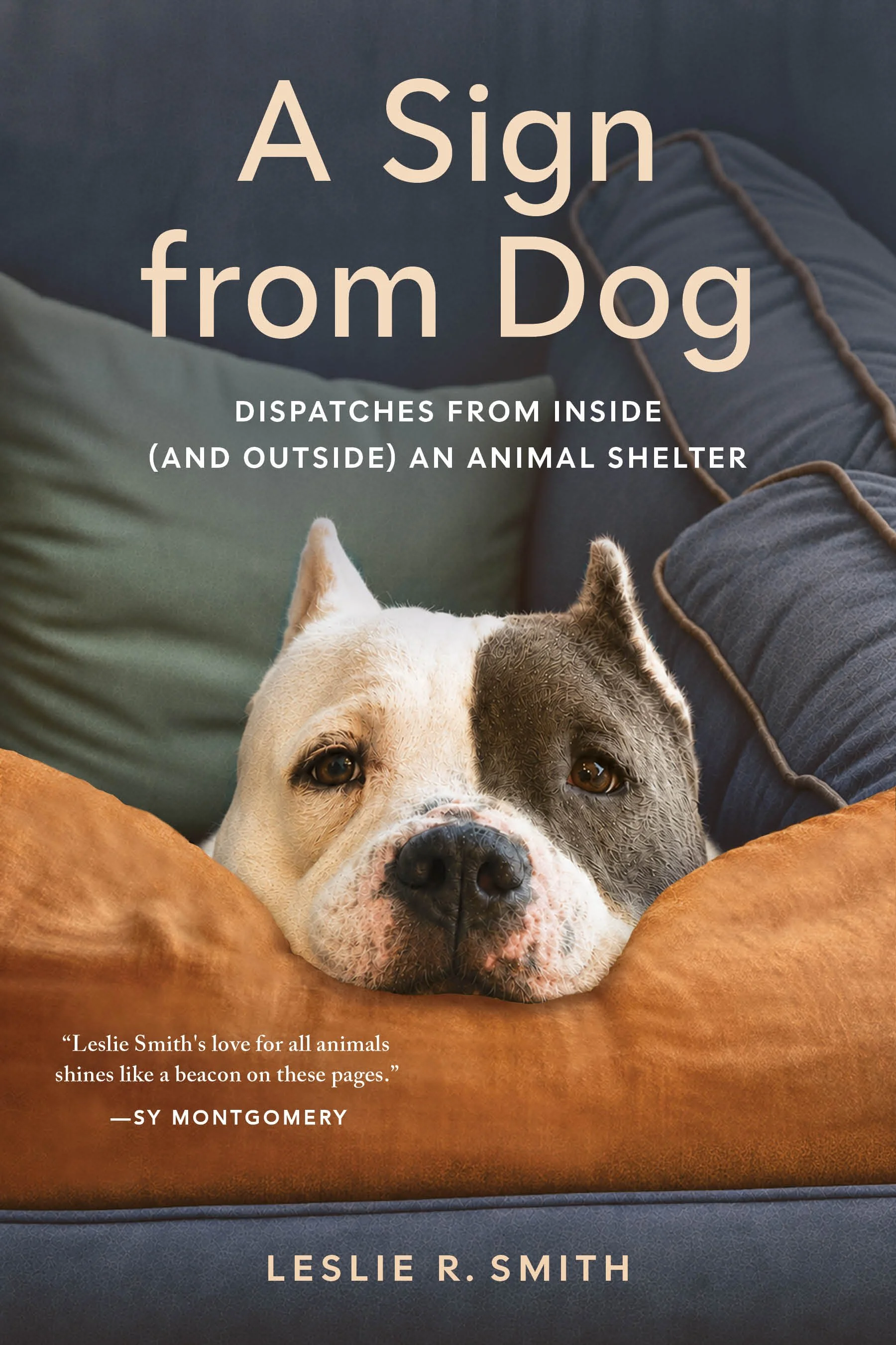 SignfromDog_CoverComp090226.jpg