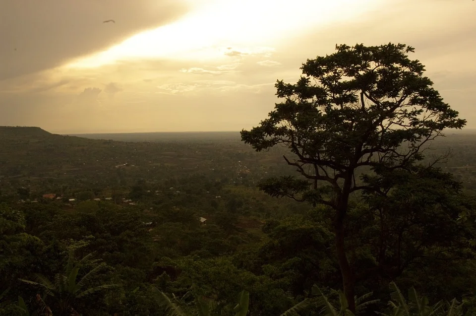 AFRICA