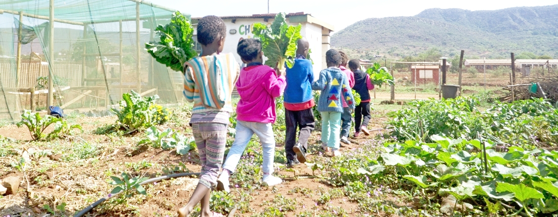 kids in garden.jpg