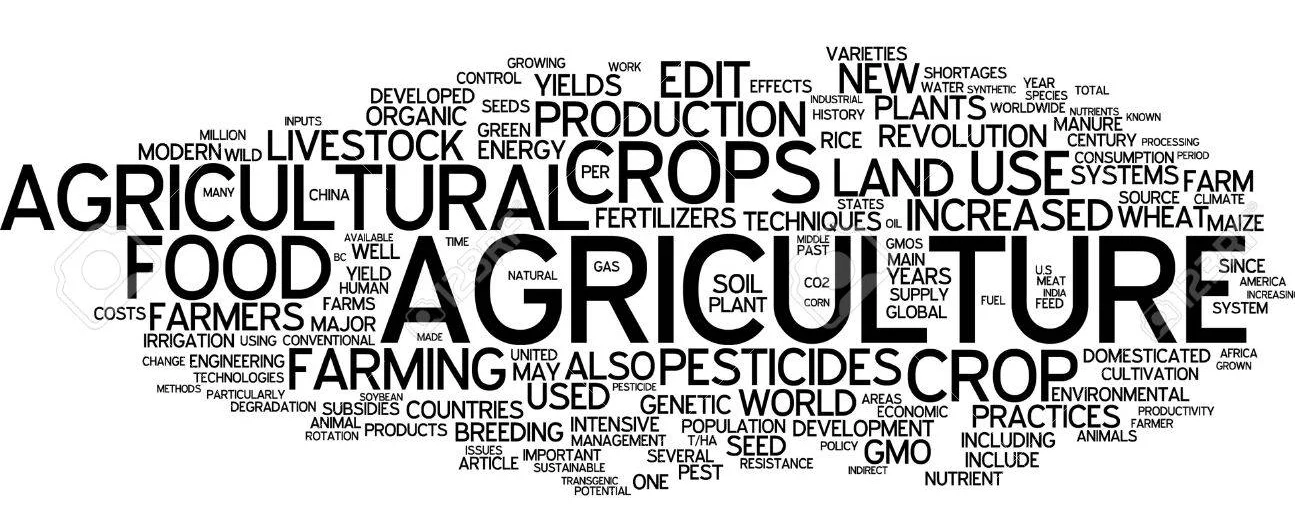 The most important enterprise in the world: Agriculture — shiri