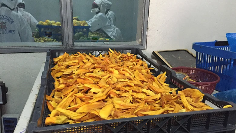 Drying mango facility