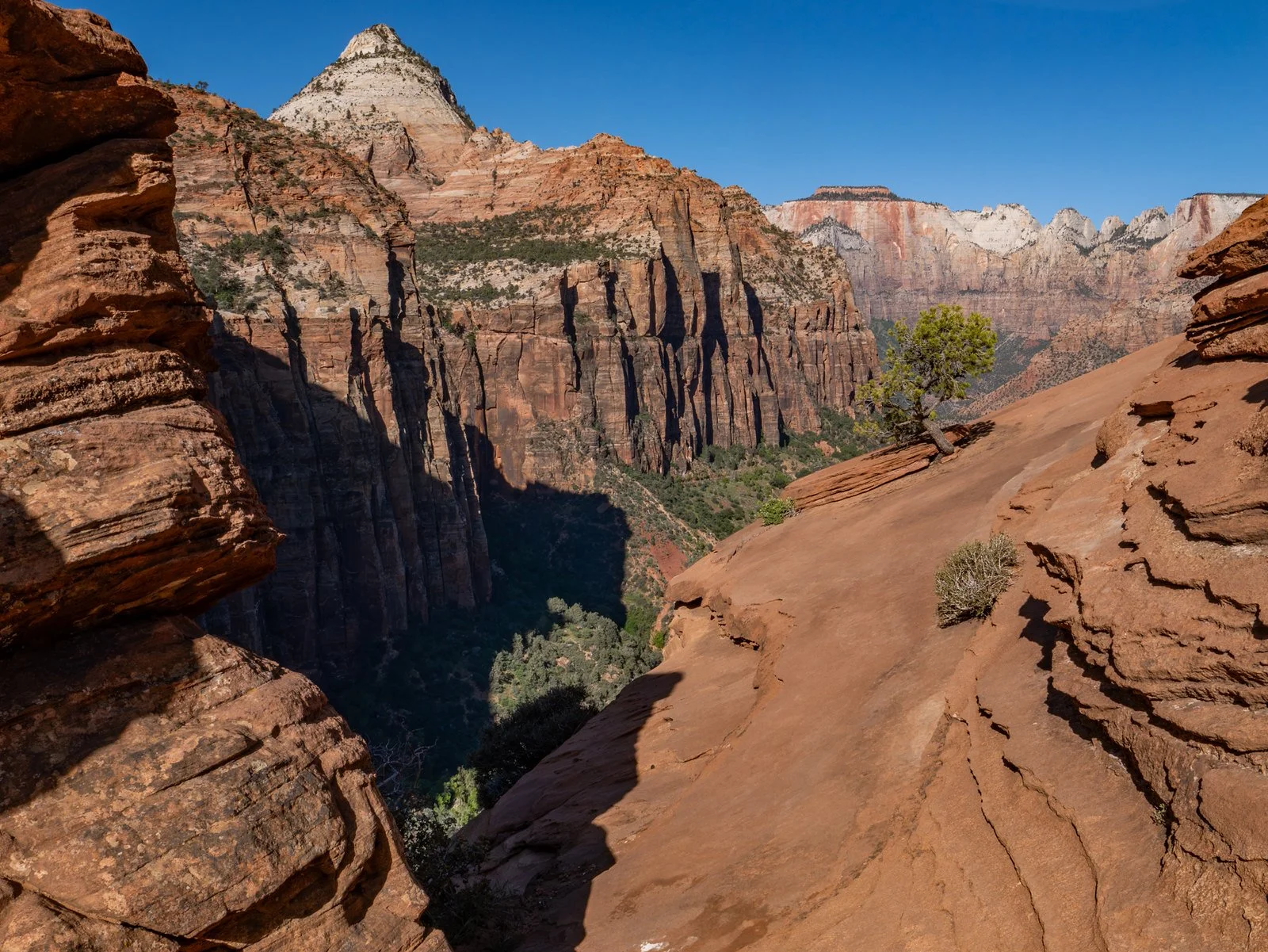 Zion Overlook