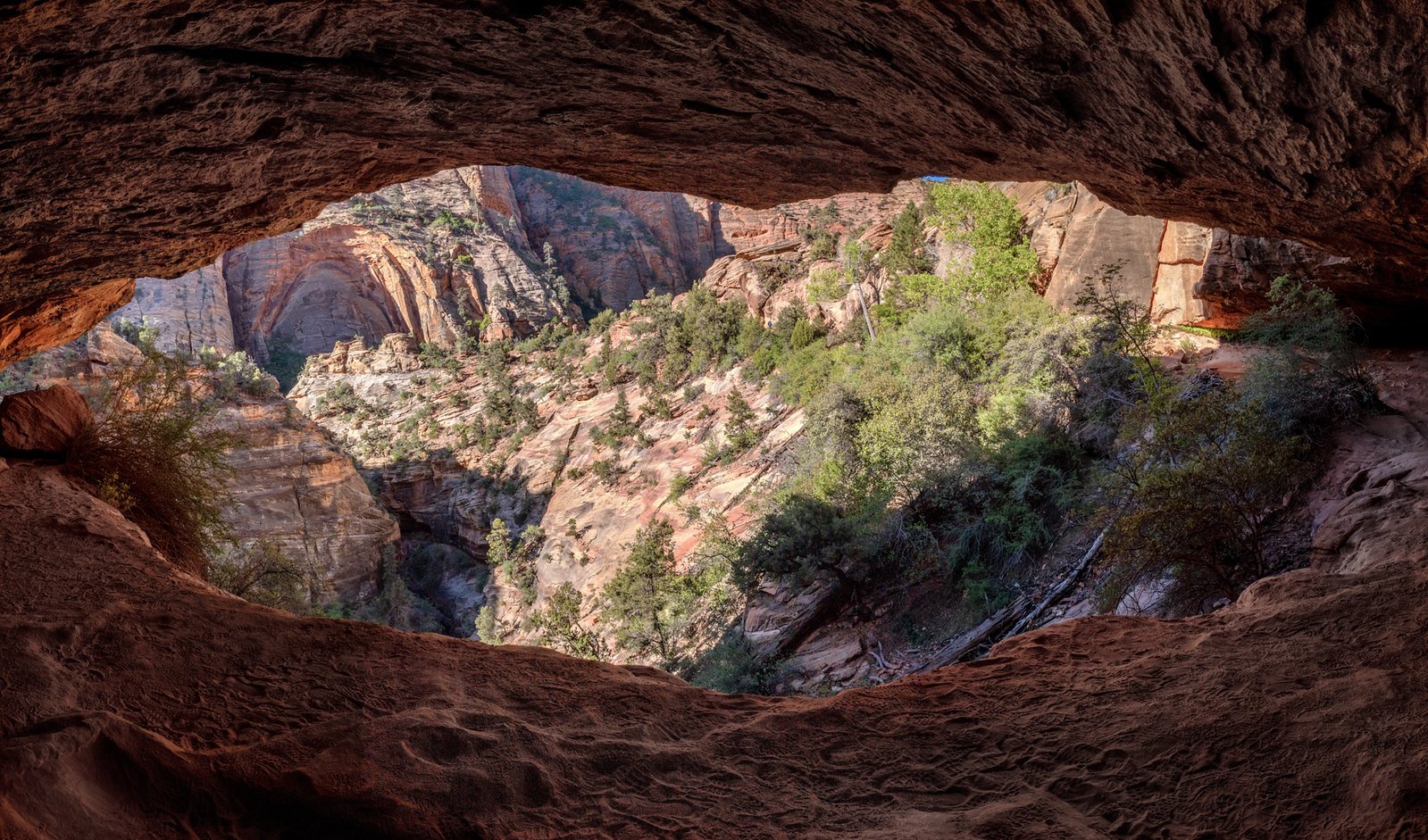 Zion Overlook Eye