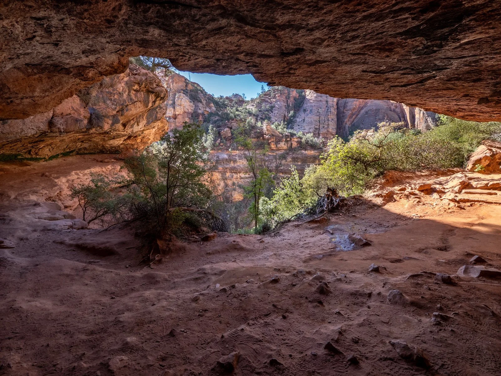 Zion Overlook Trial overhang