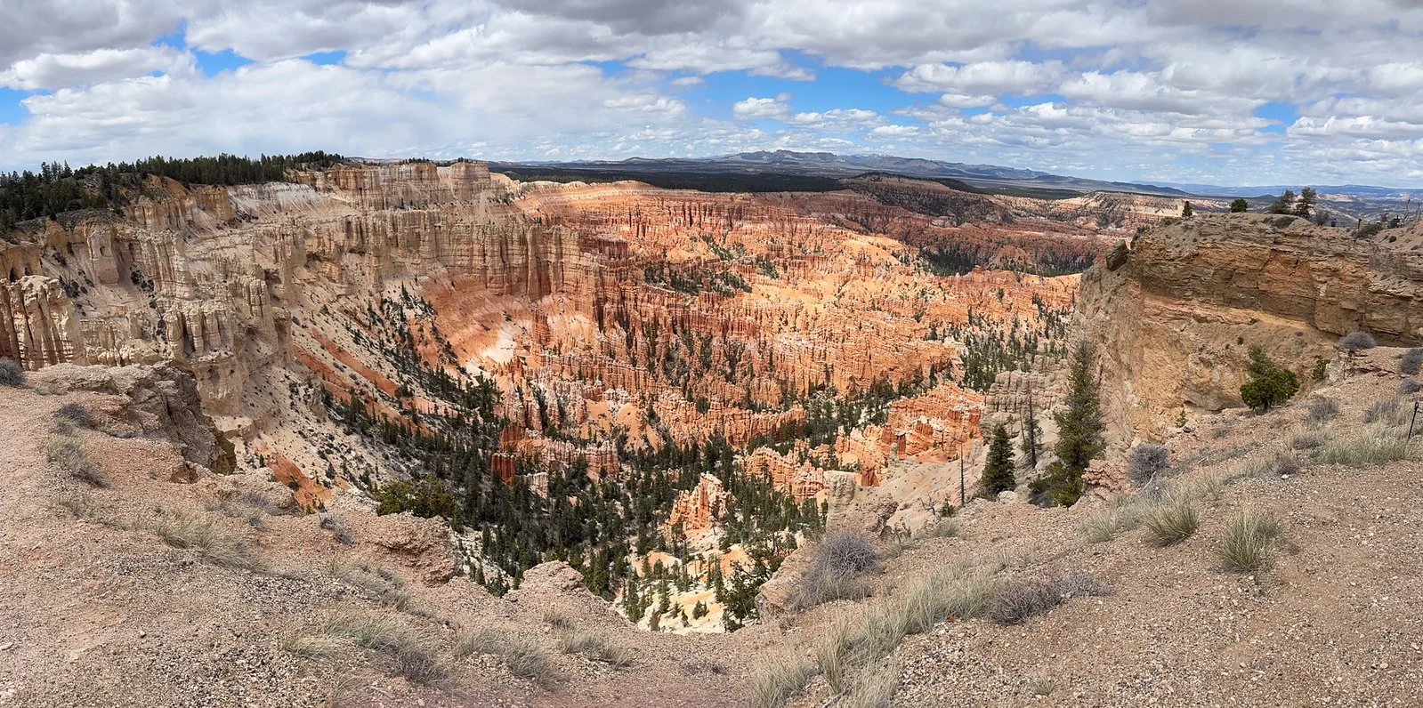 Bryce cathedral